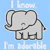 Elephant avatars