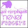 Elephant avatars