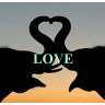 Elephant avatars