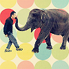 Elephant avatars