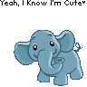 Elephant avatars