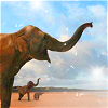 Elephant avatars