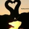 Elephant avatars