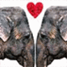 Elephant avatars