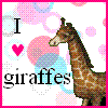 Giraffe avatars