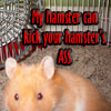 Hamster avatars