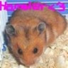 Hamster avatars