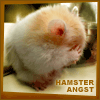 Hamster avatars