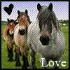 Horses avatars