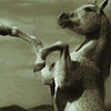 Horses avatars