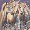 Horses avatars