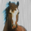 Horses avatars
