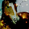 Horses avatars