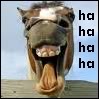 Horses avatars