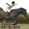 Horses avatars