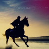 Horses avatars