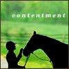 Horses avatars