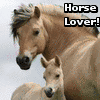 Horses avatars