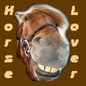 Horses avatars