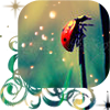 Ladybug avatars