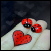 Ladybug