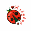 Ladybug