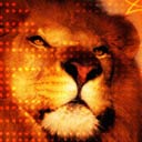 Lion avatars