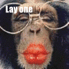 Monkeys avatars