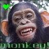 Monkeys avatars