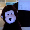 Monkeys avatars