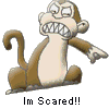 Monkeys avatars