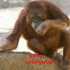 Monkeys avatars