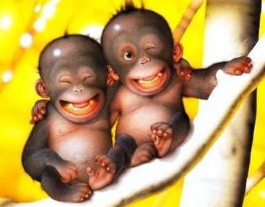 Monkeys avatars