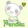 Panda avatars