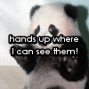 Panda avatars