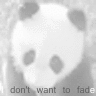 Panda avatars