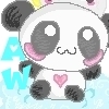 Panda avatars