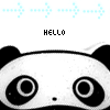 Panda avatars