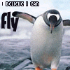 Penguin avatars
