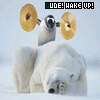 Penguin avatars
