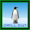 Penguin avatars