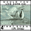Penguin avatars
