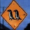 Penguin avatars