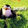 Penguin avatars