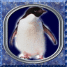 Penguin avatars