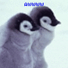 Penguin avatars