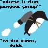 Penguin avatars