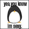 Penguin avatars