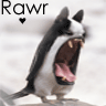 Penguin avatars