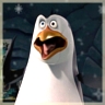 Penguin avatars